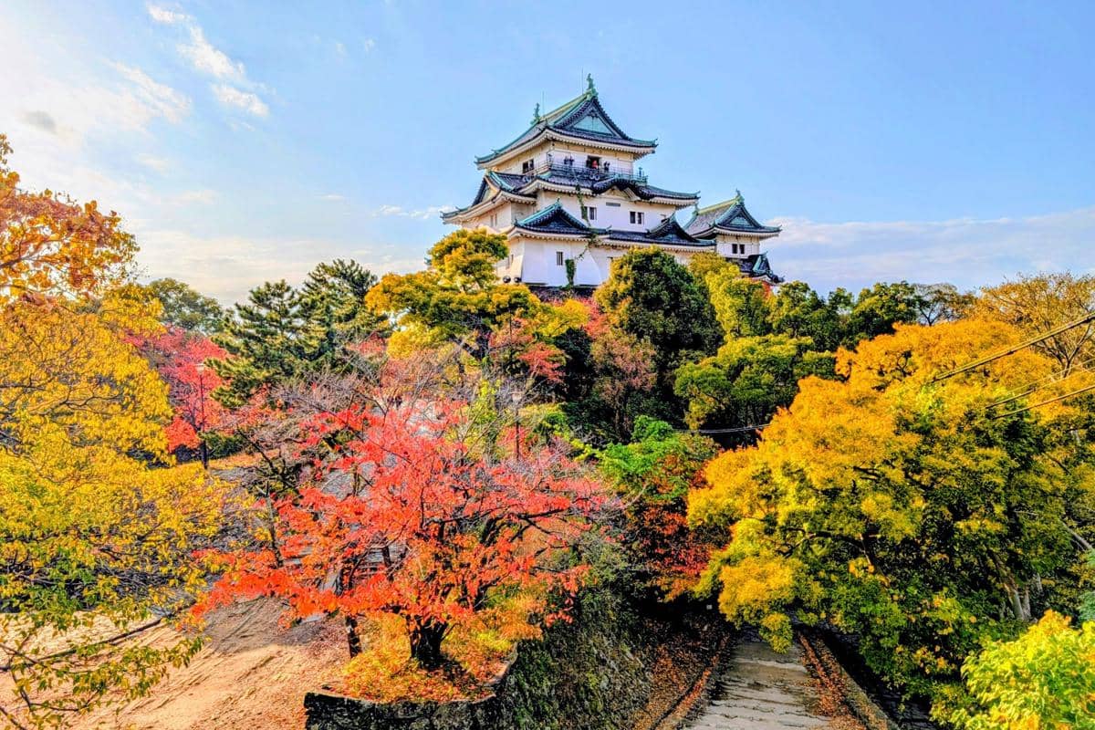 5 Kota Underrated di Sekitar Osaka untuk Liburan Musim Gugur