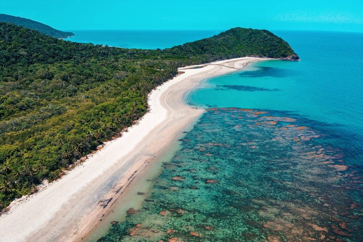 Daintree Rainforest