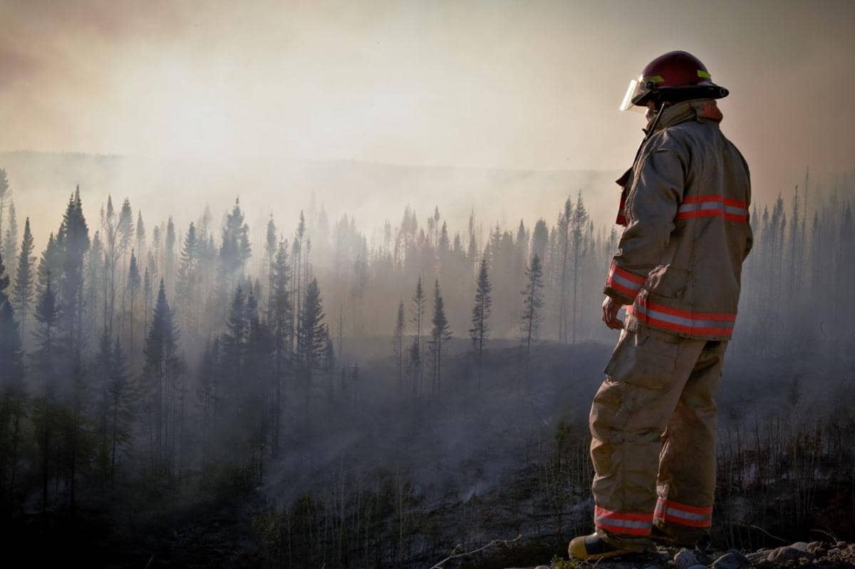4 Dampak Kebakaran Hutan yang Tidak Langsung Terlihat