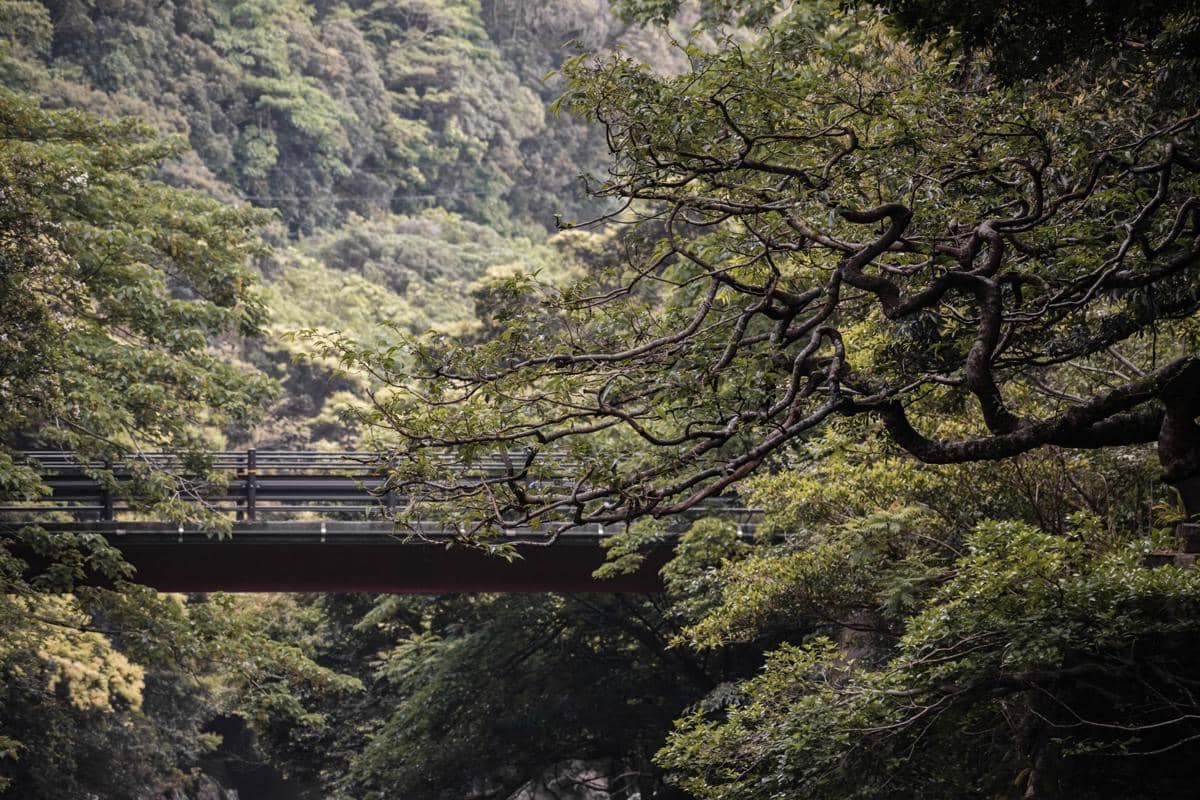 Yakushima