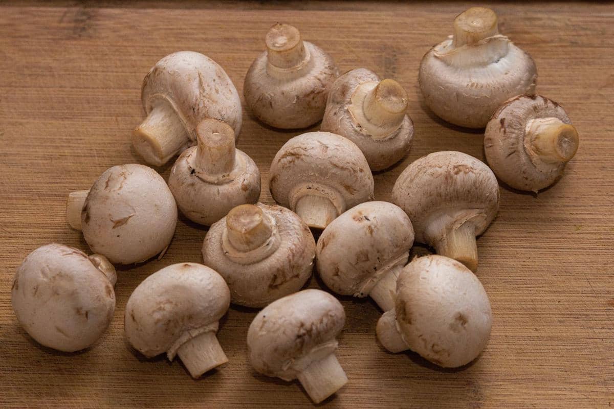 Jamur champignon