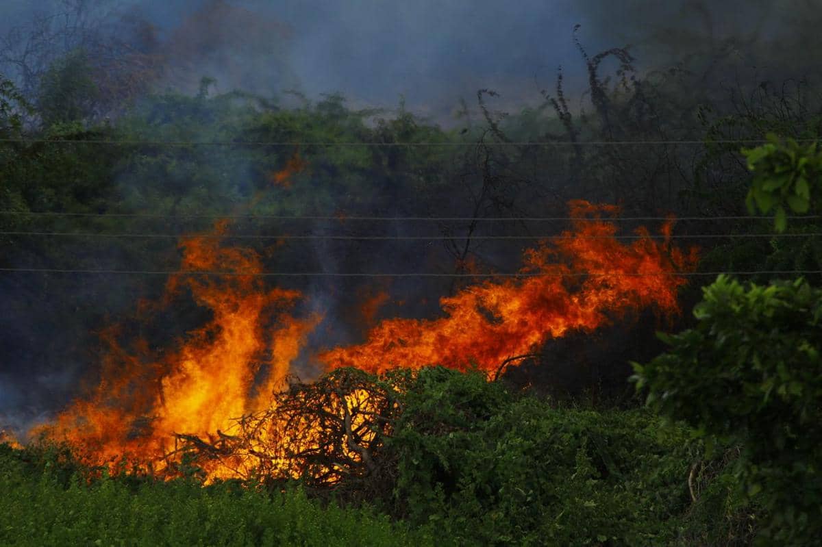232 Kasus Karhutla Landa Jateng, Warga Diminta Waspadai Kemarau, Klaten Terbanyak