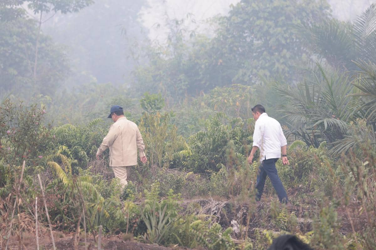 Presiden Prabowo Subianto meninjau langsung lokasi kebakaran hutan dan lahan (karhutla) di Desa Limbung, Kubu Raya, Kalimantan Barat, Sabtu