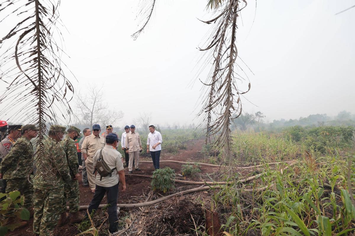 Presiden Prabowo Subianto meninjau langsung lokasi kebakaran hutan dan lahan (karhutla) di Desa Limbung, Kubu Raya, Kalimantan Barat, Sabtu 