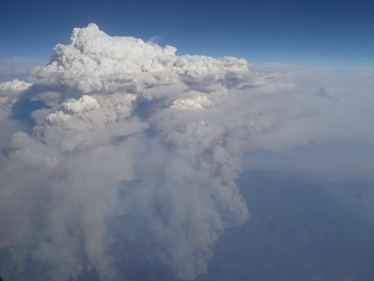 Pyrocumulonimbus