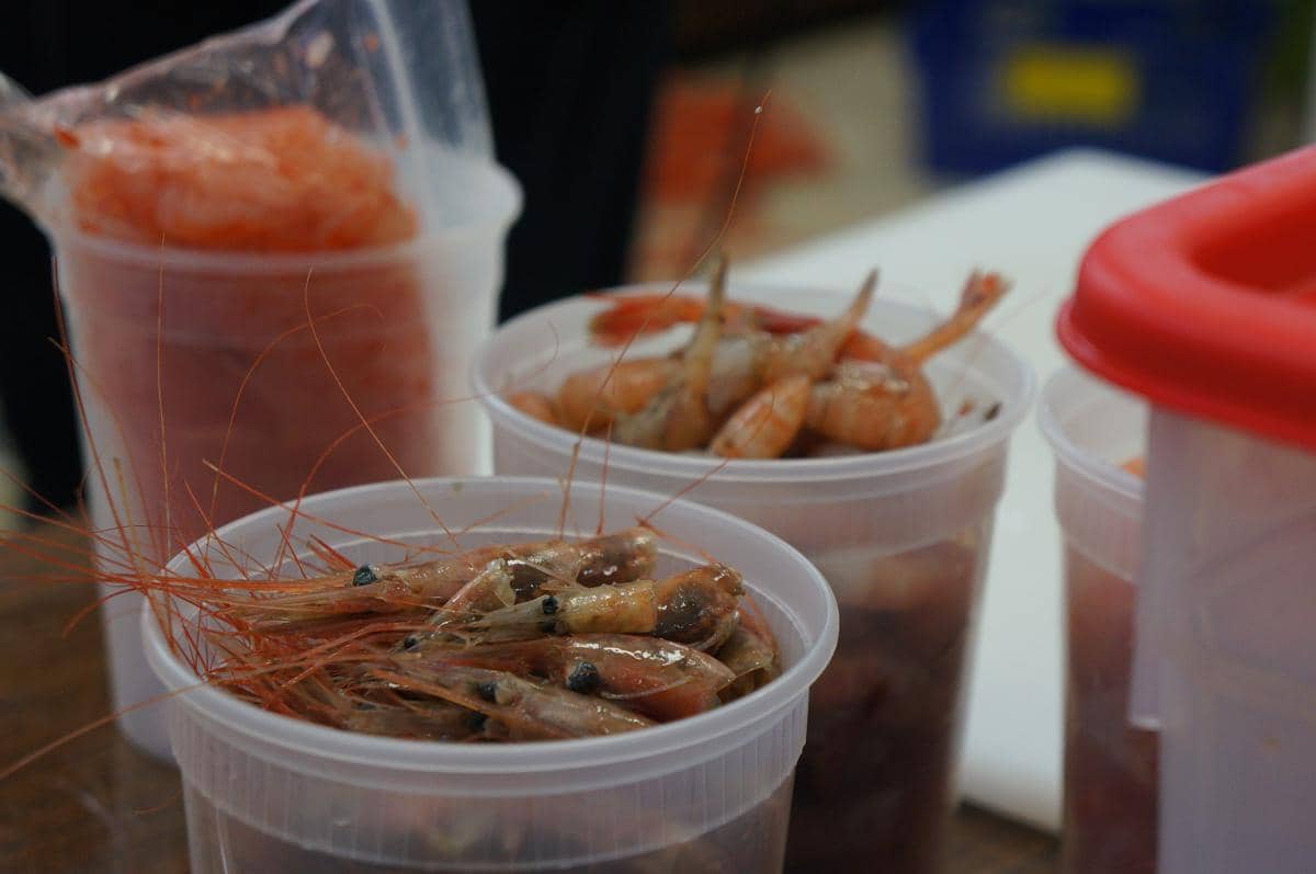 ilustrasi bahan kaldu kulit udang