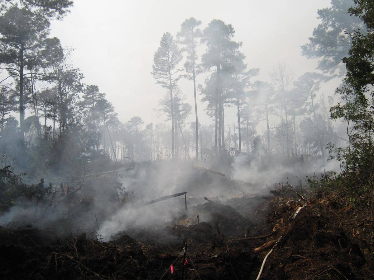 ilustrasi smoldering fire