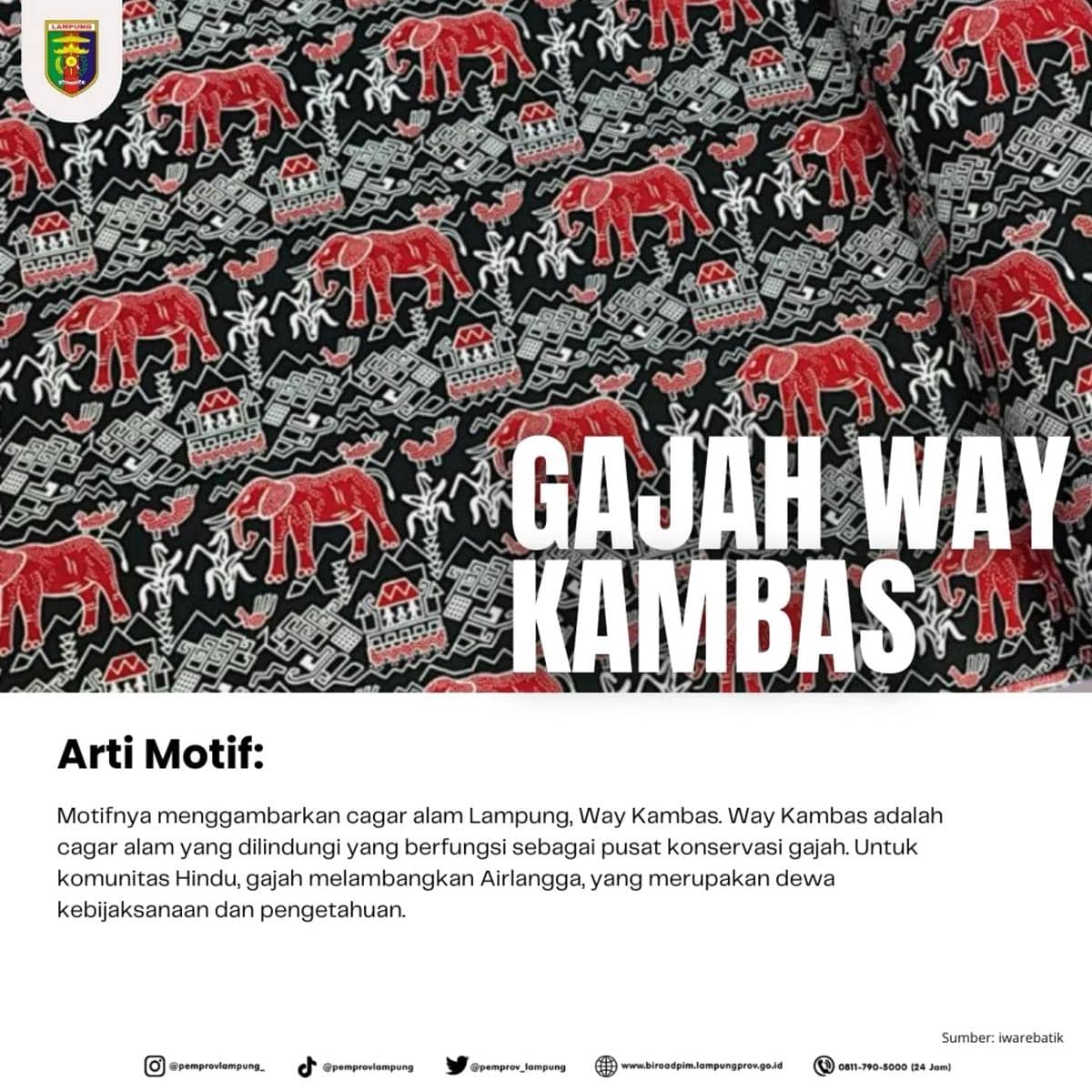 Motif Gajah Way Kambas, Batik Khas Lampung
