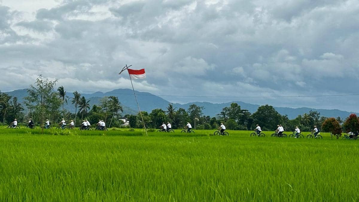area persawahan di Desa Wisata Bilebante