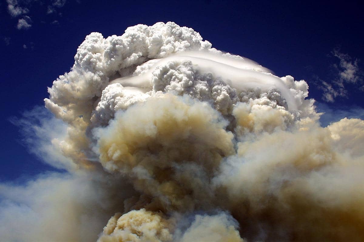Pyrocumulonimbus