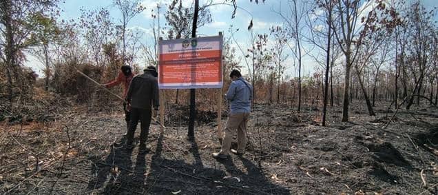 Kemenhut Sanksi 4 Perusahaan di Kalbar, Total 1.358 Hektare Terbakar