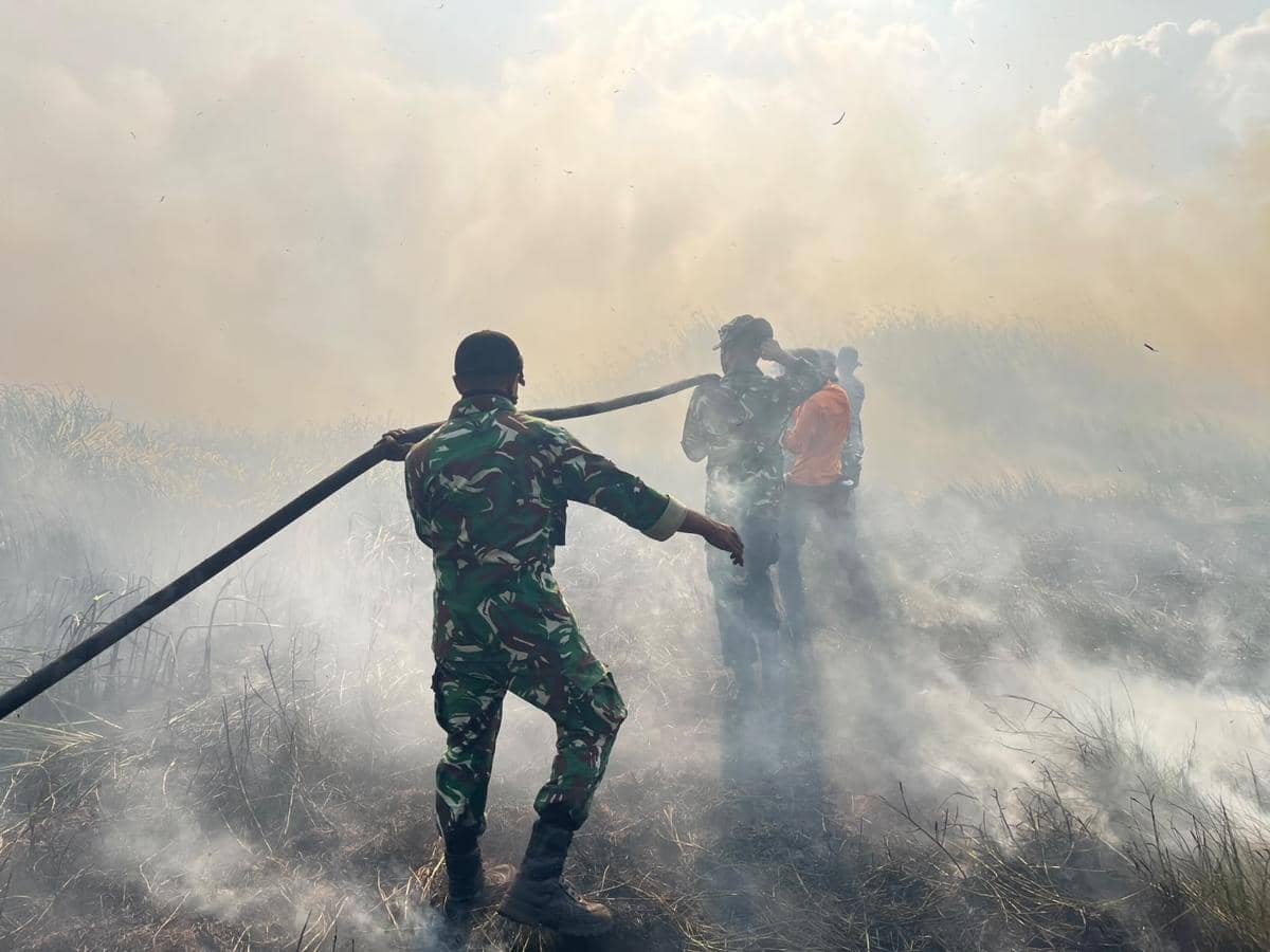 Tim Alfa TNI Dikerahkan Padamkan Karhutla Taman Nasional Way Kambas