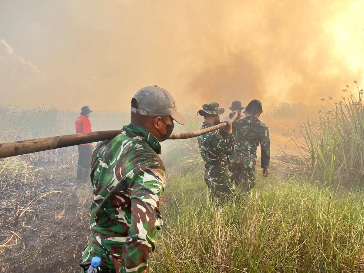 Update Karhutla Way Kambas: Kerahkan Water Bombing dan Tim Alfa TNI