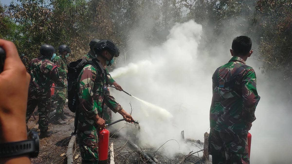 Personel TNI memadamkan api di Taman Nasional Way Kambas Kabupaten Lampung Timur. (Dok. Kodam XXI Radin Inten).