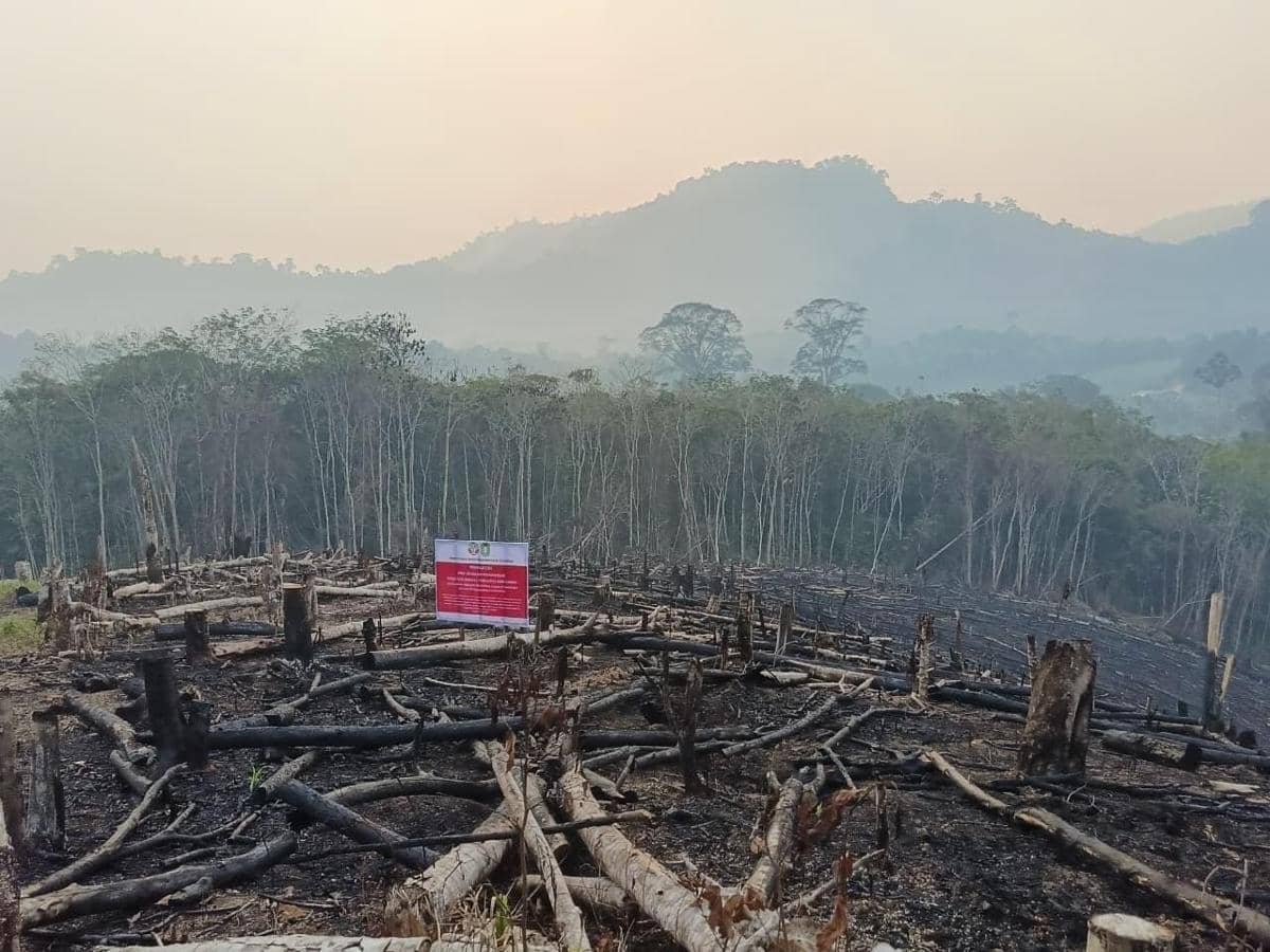 Kemenhut Sanksi 6 Perusahaan Terkait Karhutla, Izin Usaha Dibekukan