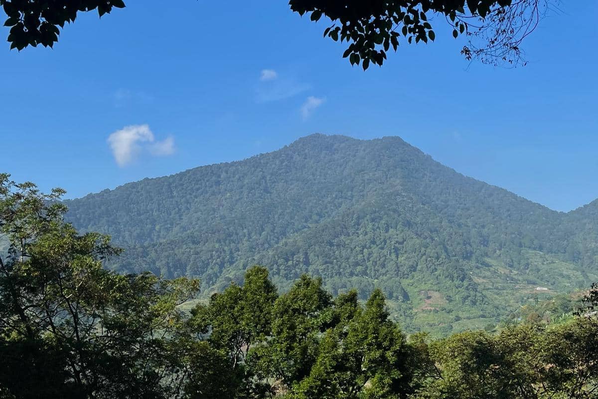 Rute Pendakian Gunung Luhur Bogor, 3 Jam sampai Puncak!