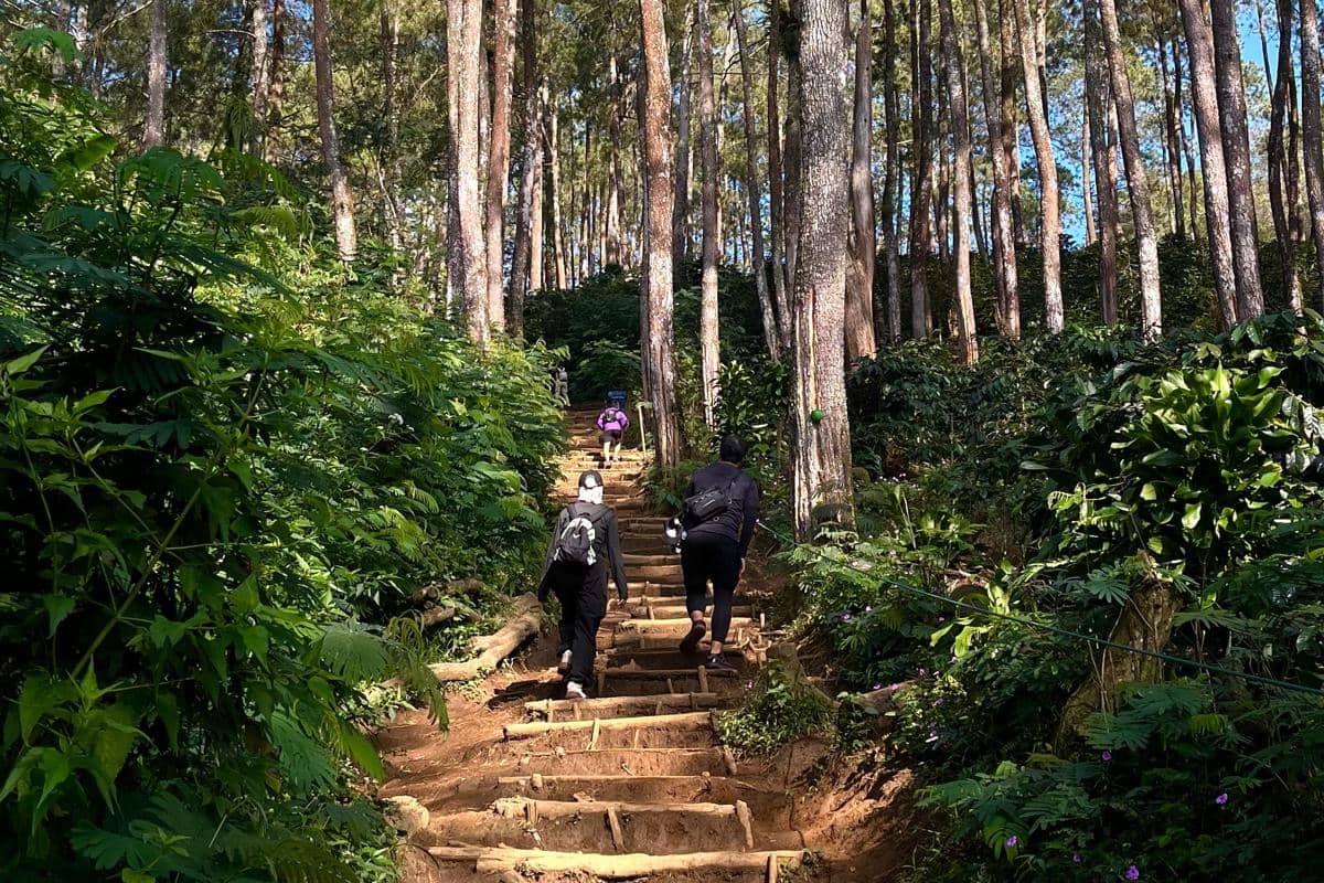 potret Gunung Luhur