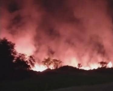 Kebakaran di Kawasan Tallasa City Makassar Hanguskan Lahan Kosong