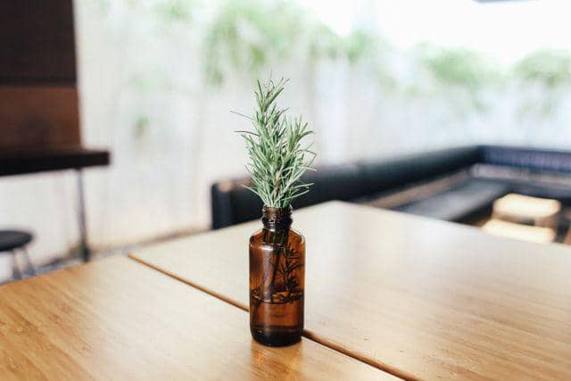 Ilustrasi aroma rosemary