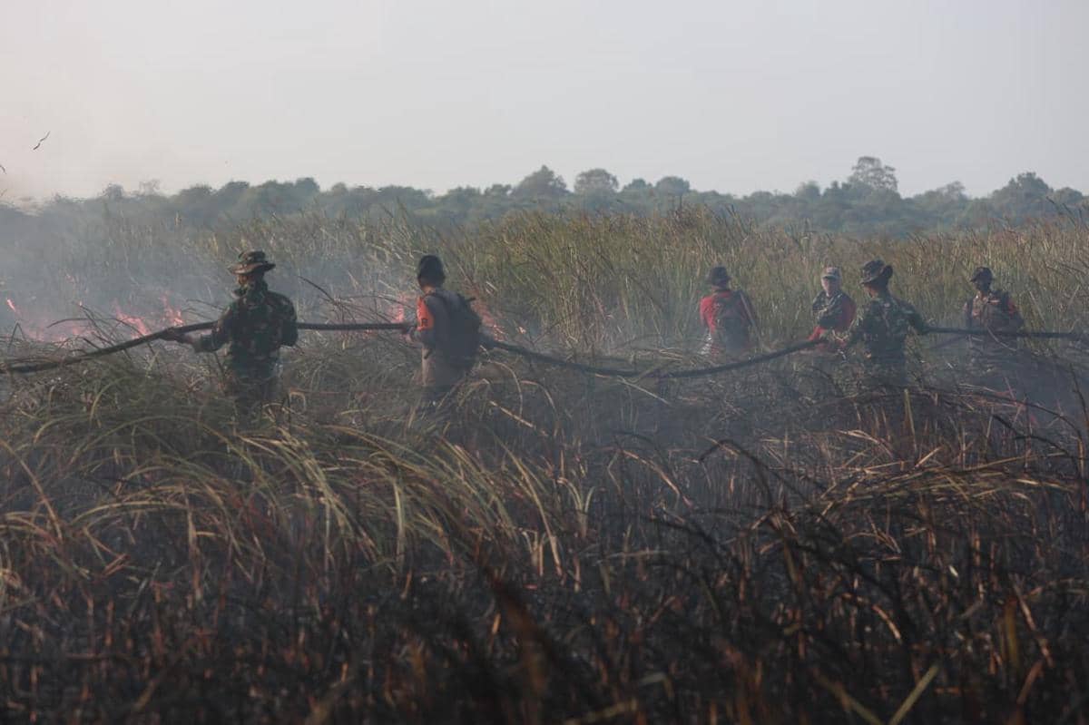 

Personel gabungan memadamkan api di Taman Nasional Way Kambas Kabupaten Lampung Timur. (Dok. Kodam XXI Radin Inten).