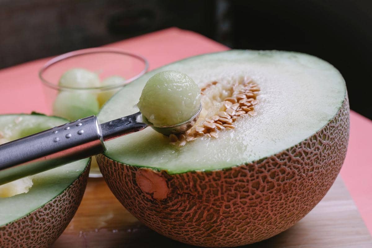 Ilustrasi salad melon ball 