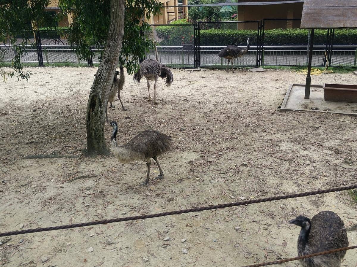 KL Bird Park