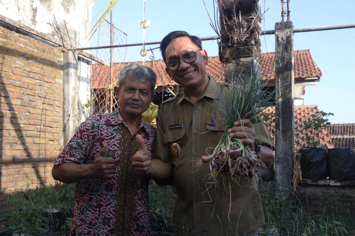 Tips Urban Farming Bawang Merah di Galon ala Warga Gemblakan Jogja