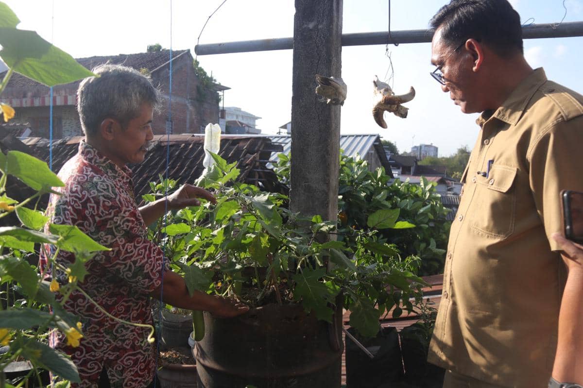 Budidaya bawang merah secara urban farming di lingkungan warga Gemblakan, Kelurahan Danurejan, Kota Yogyakarta.