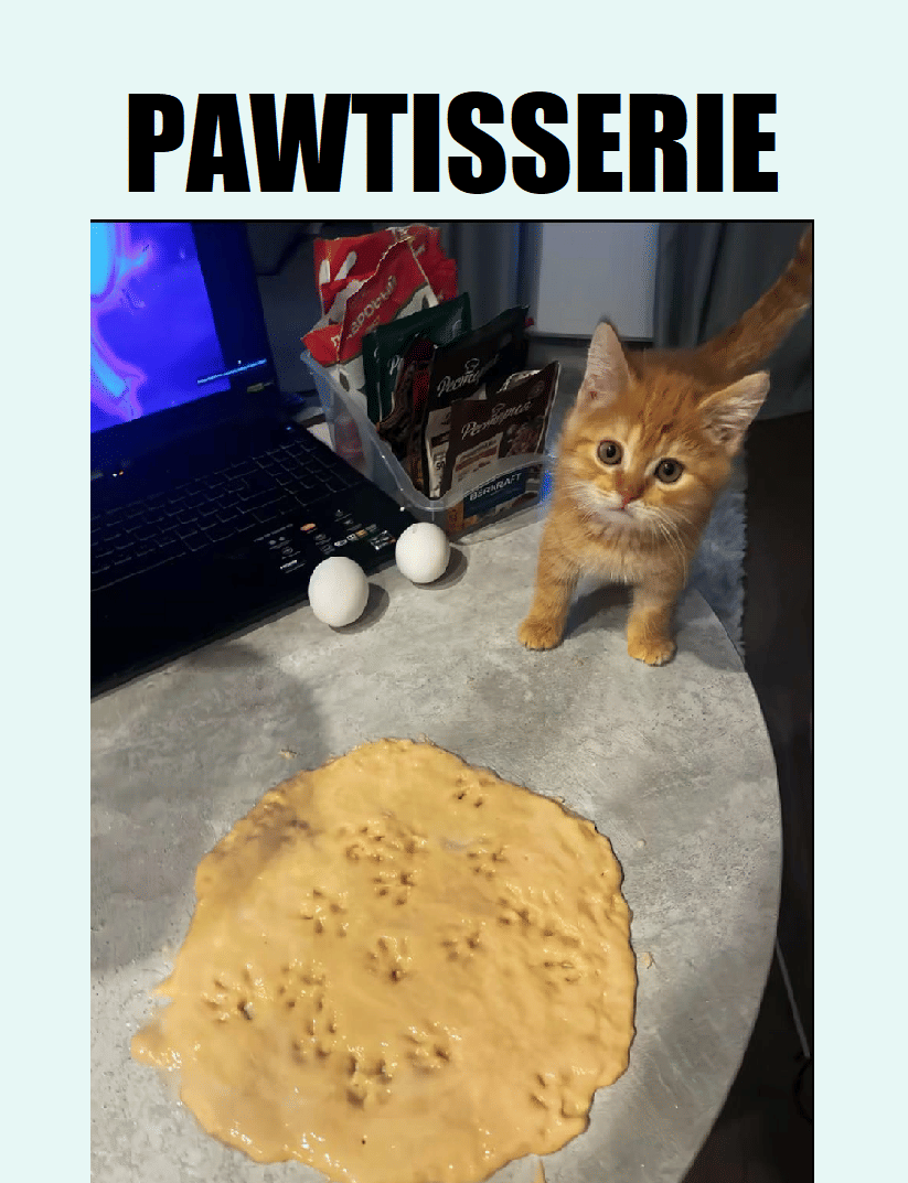 meme kucing tentang biskuit