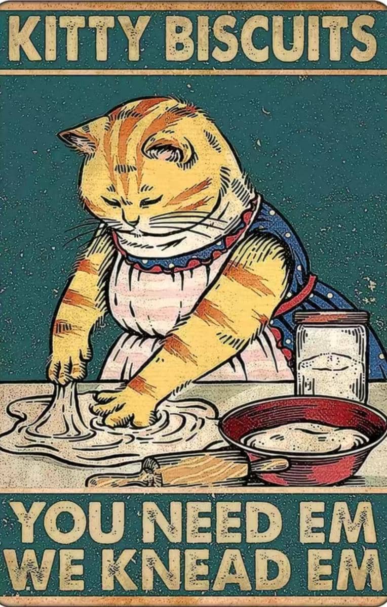 meme kucing tentang biskuit