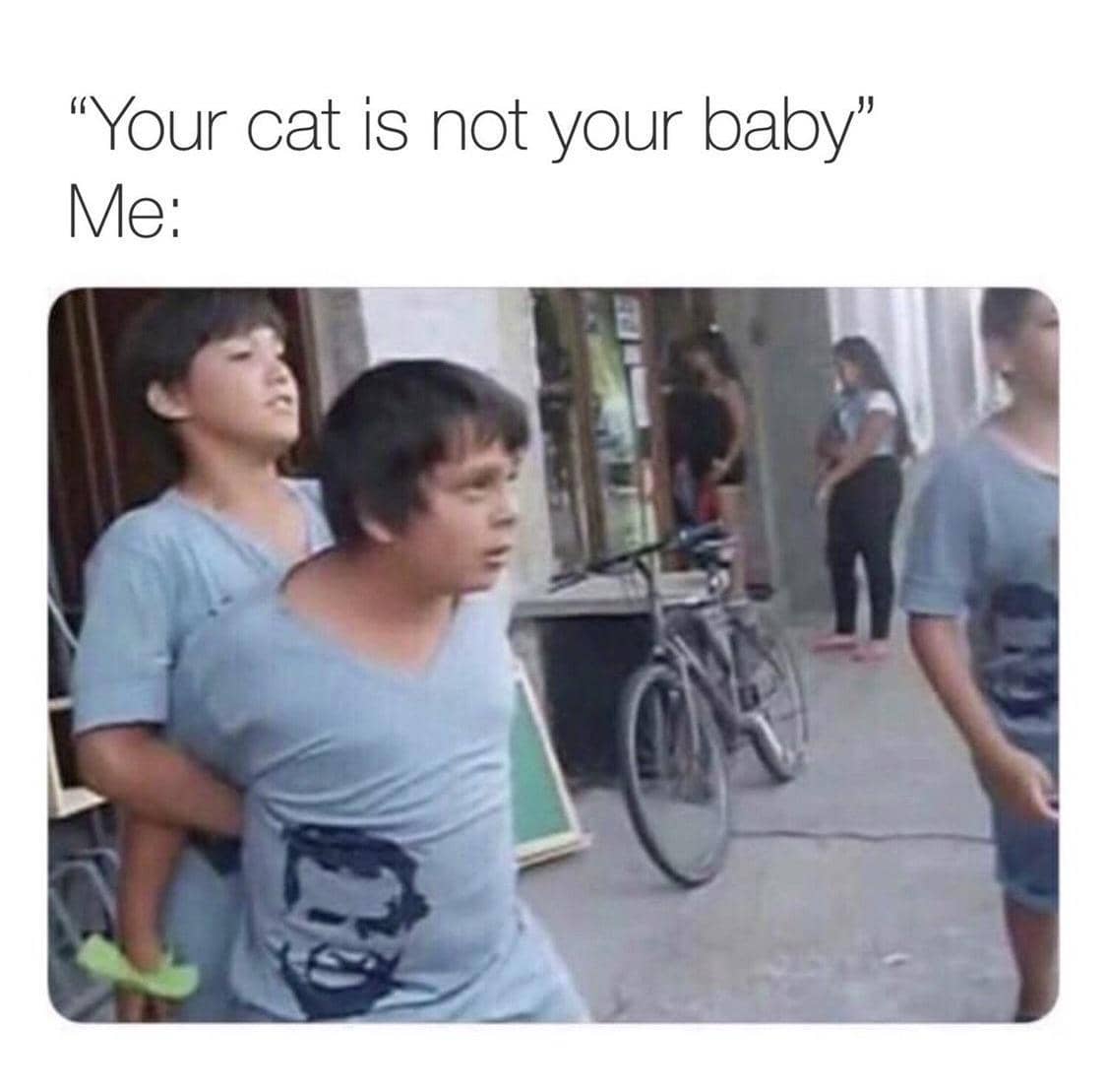 meme kucing tentang bayi