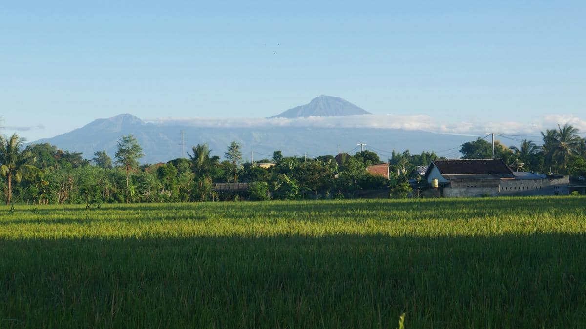 5 Keunikan Desa Sade yang Bikin Jadi Destinasi Wisata Populer di Lombok