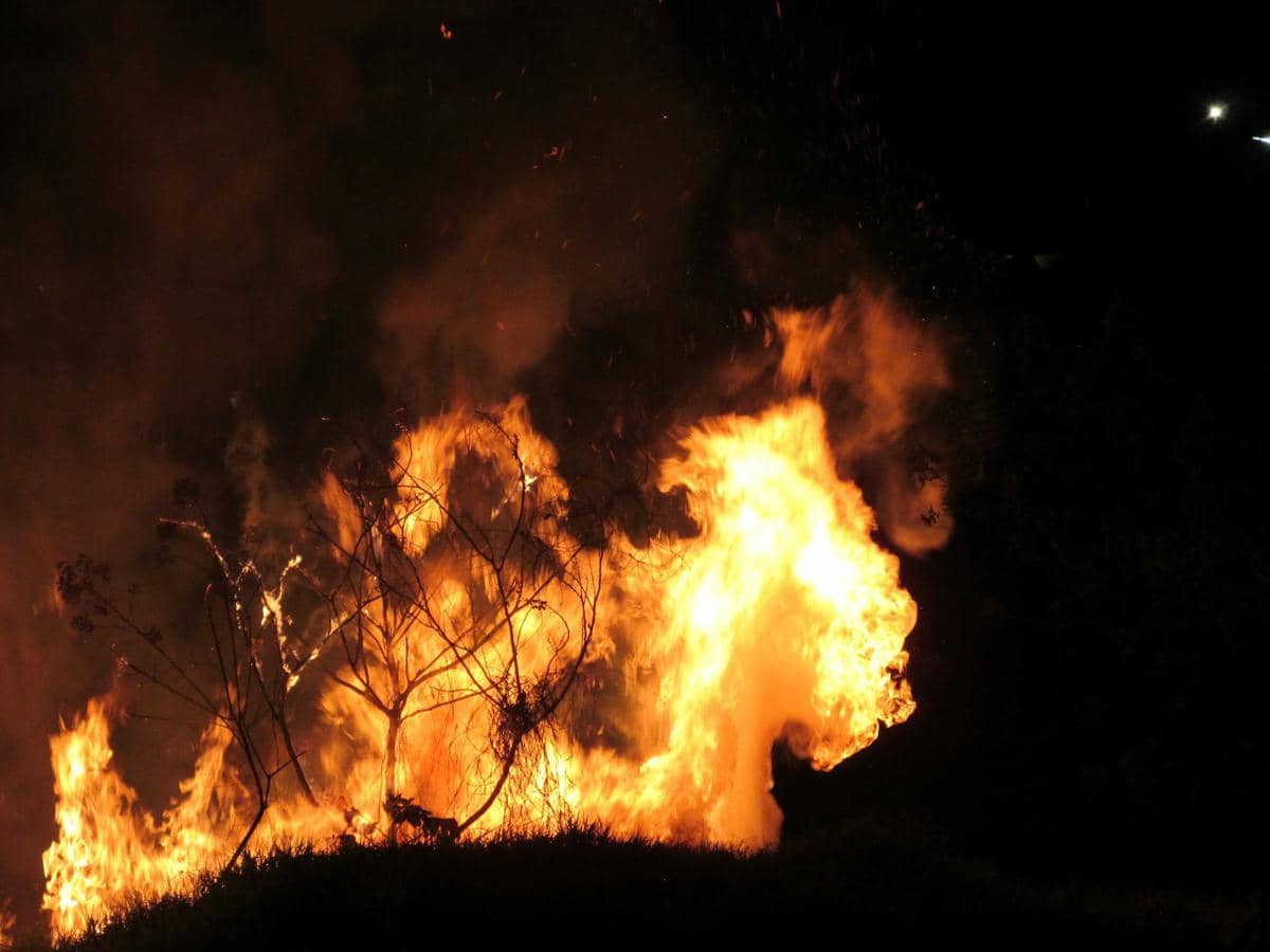 5 Cara Satelit Mendeteksi Titik Api Kebakaran Hutan