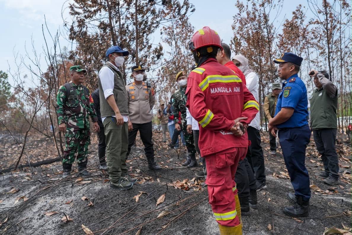 Datangi Berau, Menhut Pastikan Karhutla Tak Ancam Habitat Orangutan