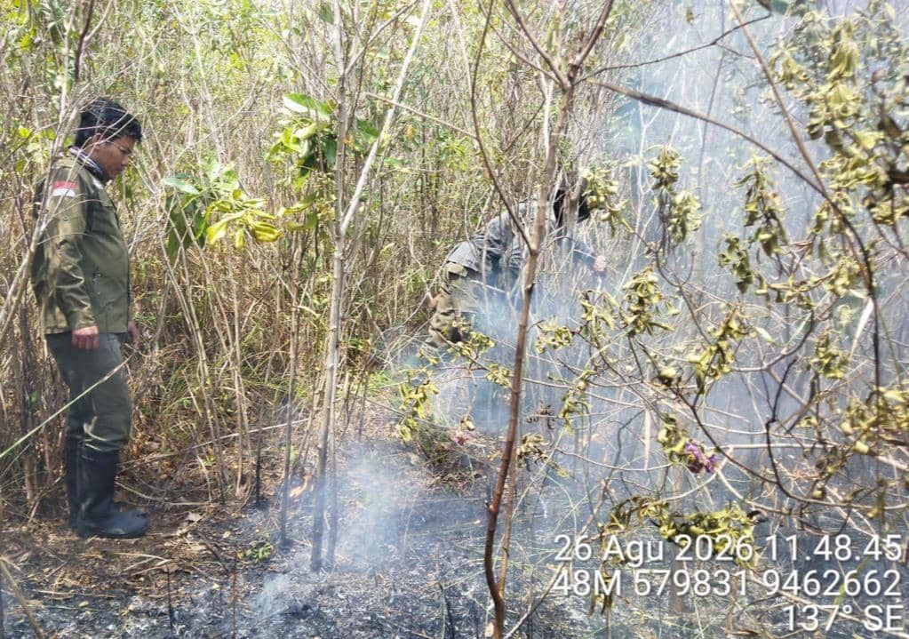 Diguyur Water Bombing, Titik Api Baru di Way Kambas Diklaim Padam