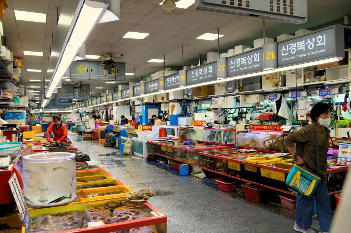 ilustrasi Jagalchi market di Busan, Korea Selatan
