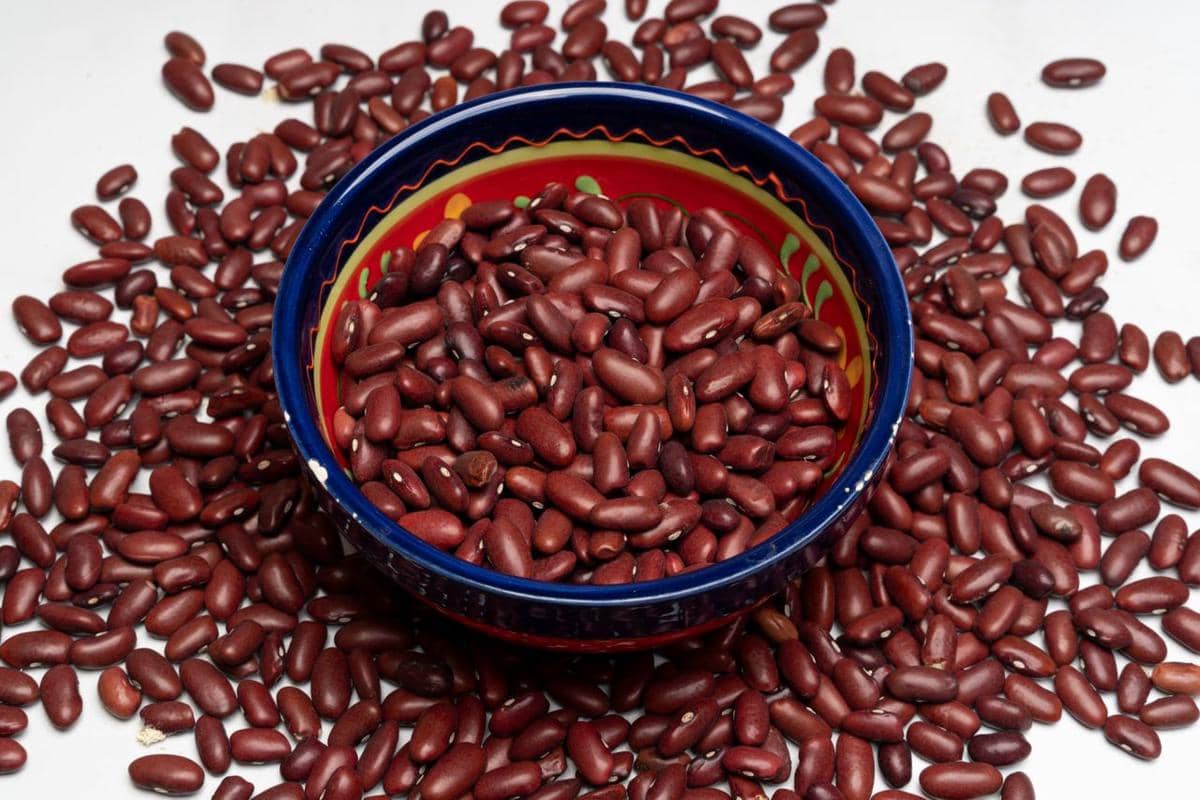 ilustrasi kacang merah