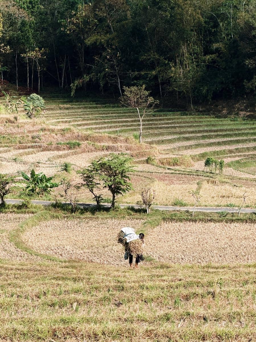 Natasha Rizky berpose bersama anggota keluarganya dalam momen liburan mereka di Yogyakarta yang dibagikan di Instagram.