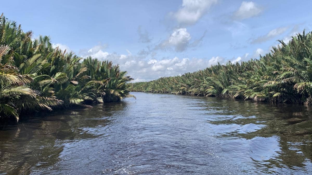 Sungai Sekonyer