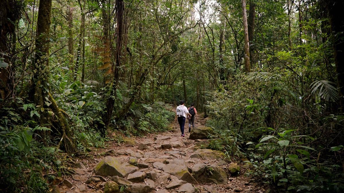 Taman Nasional Gunung Gede Pangrango