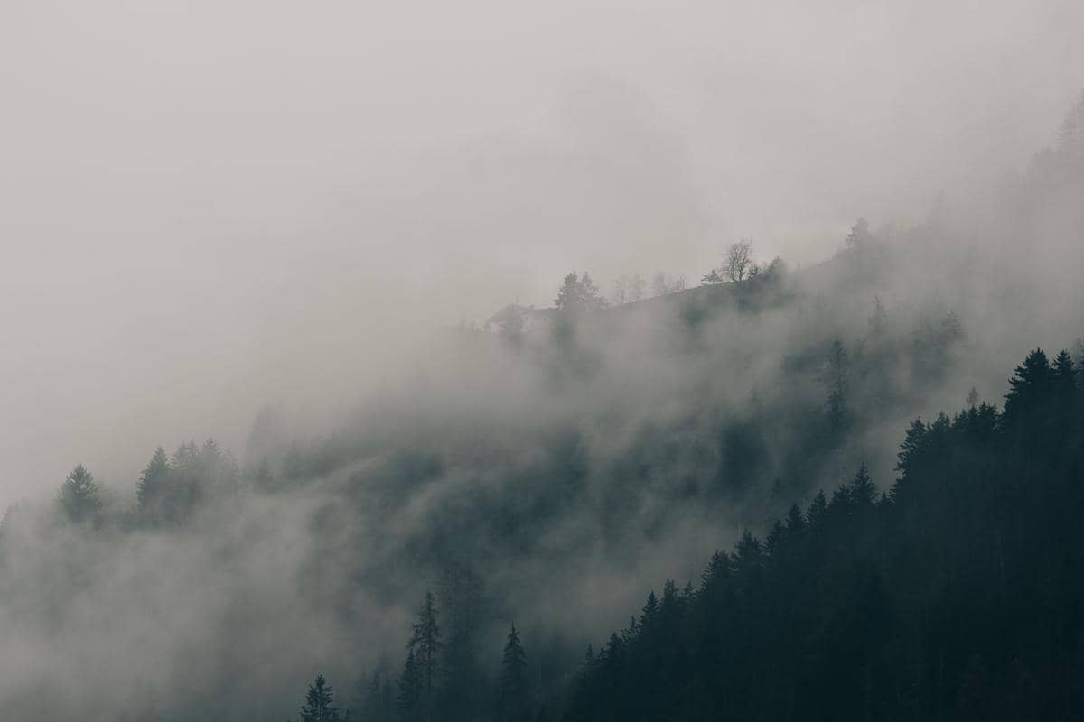 Pendaki Gunung Wajib Tahu, Ini 4 Perbedaan Kabut Alami dan Asap Karhutla