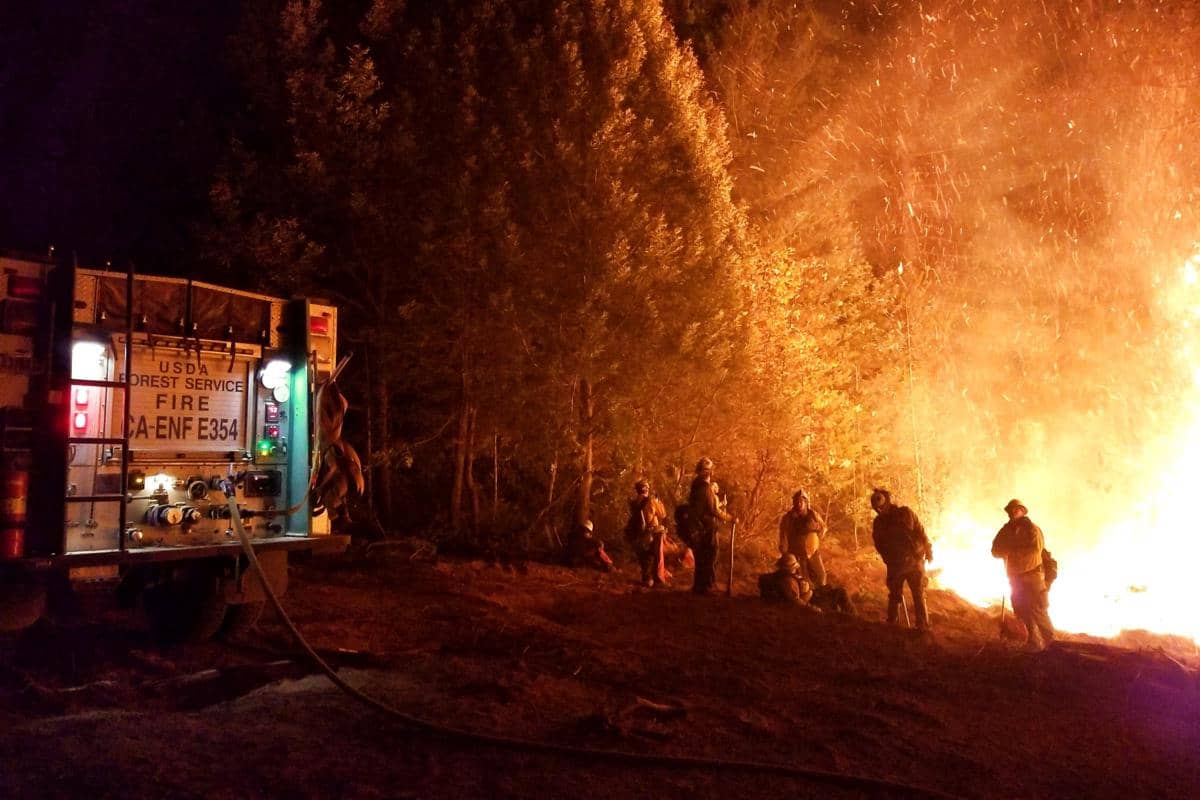 Camp Fire, Kebakaran Hutan Paling Mematikan di Sejarah California
