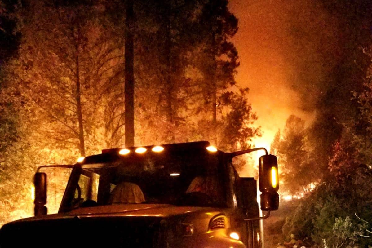 kebakaran hutan Camp Fire 