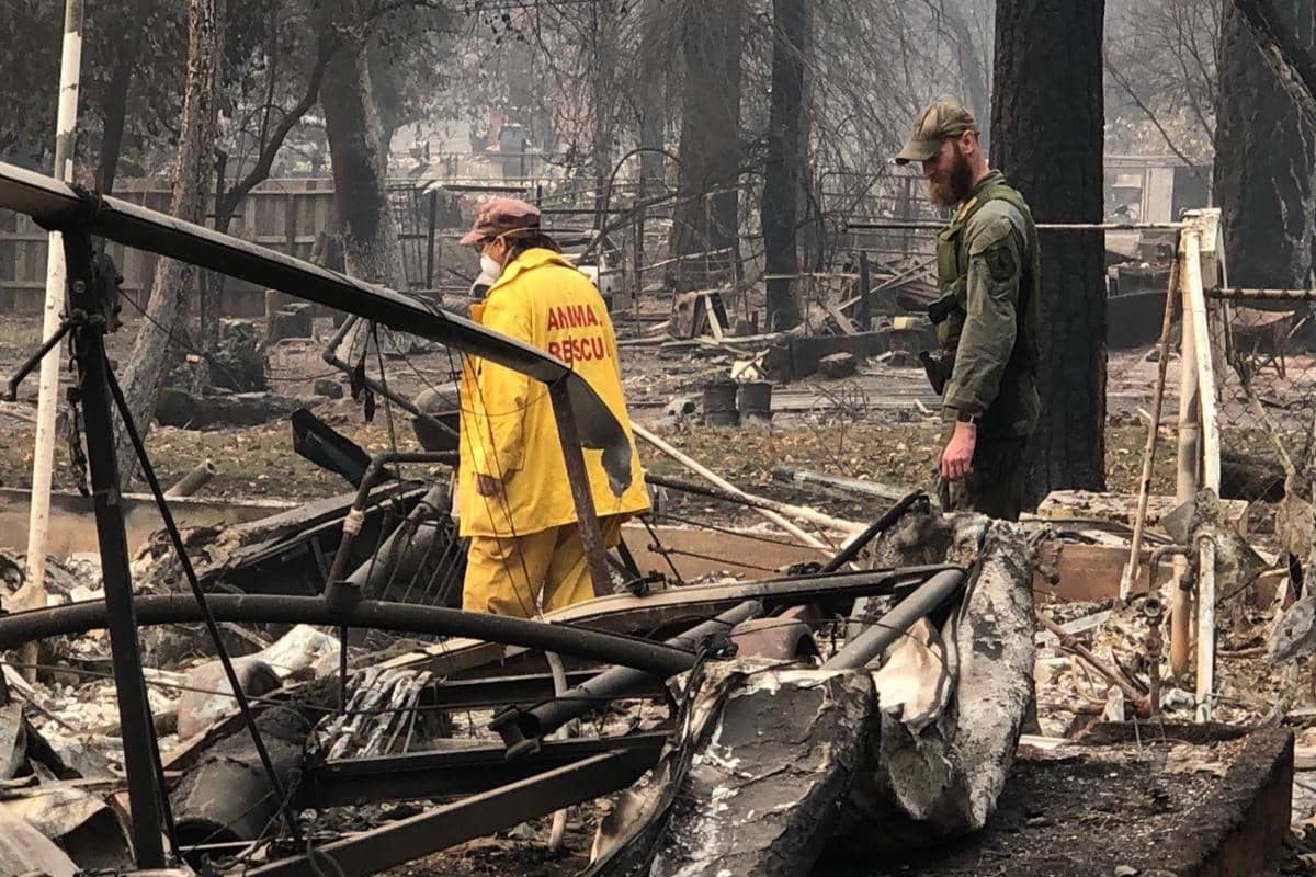 sesudah terjadinya kebakaran hutan Camp Fire 