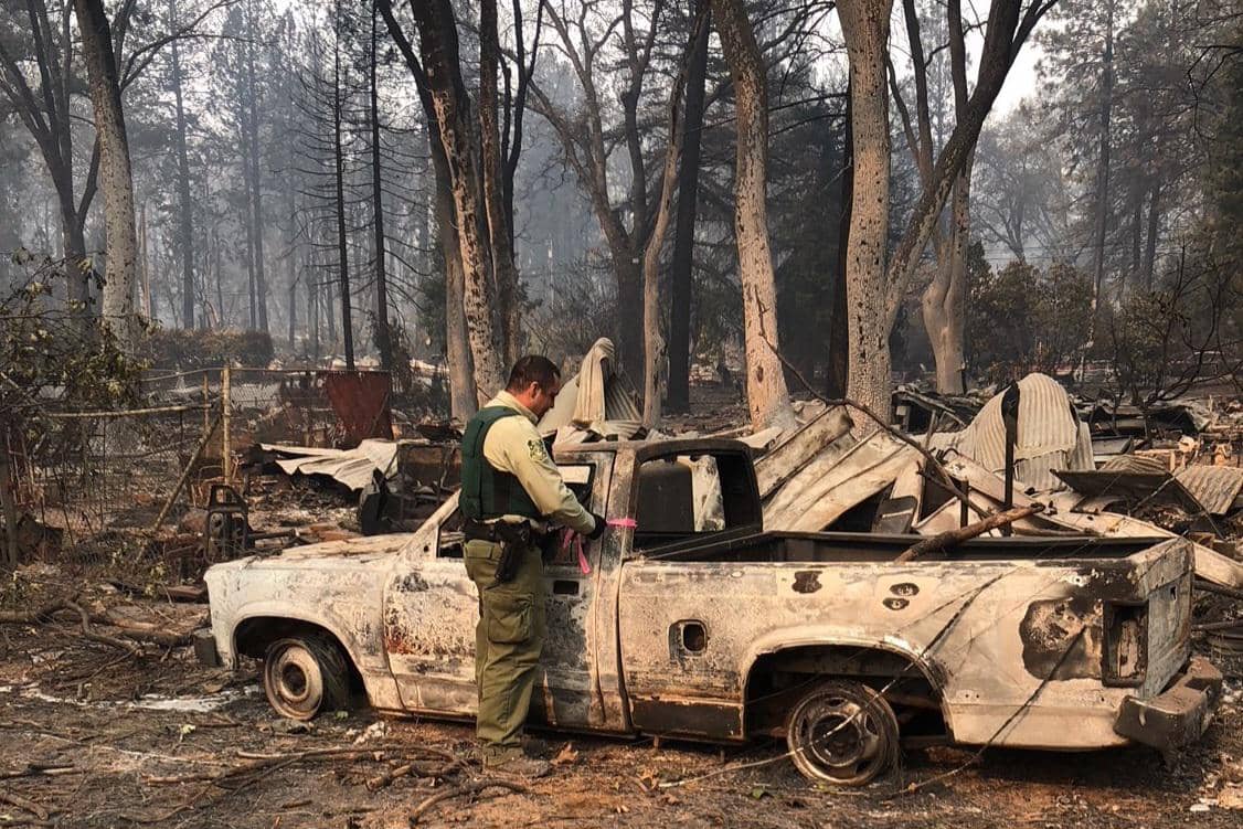 sesudah terjadinya kebakaran hutan Camp Fire 