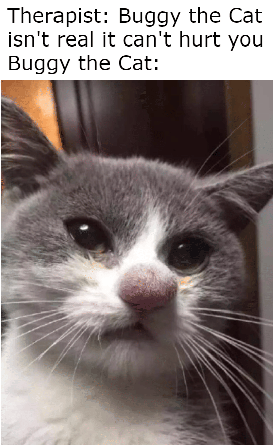 meme kucing tema One Piece