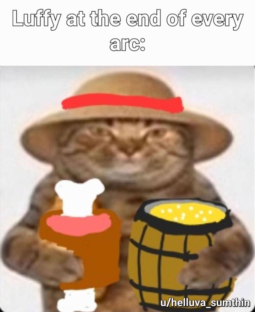 meme kucing tema One Piece