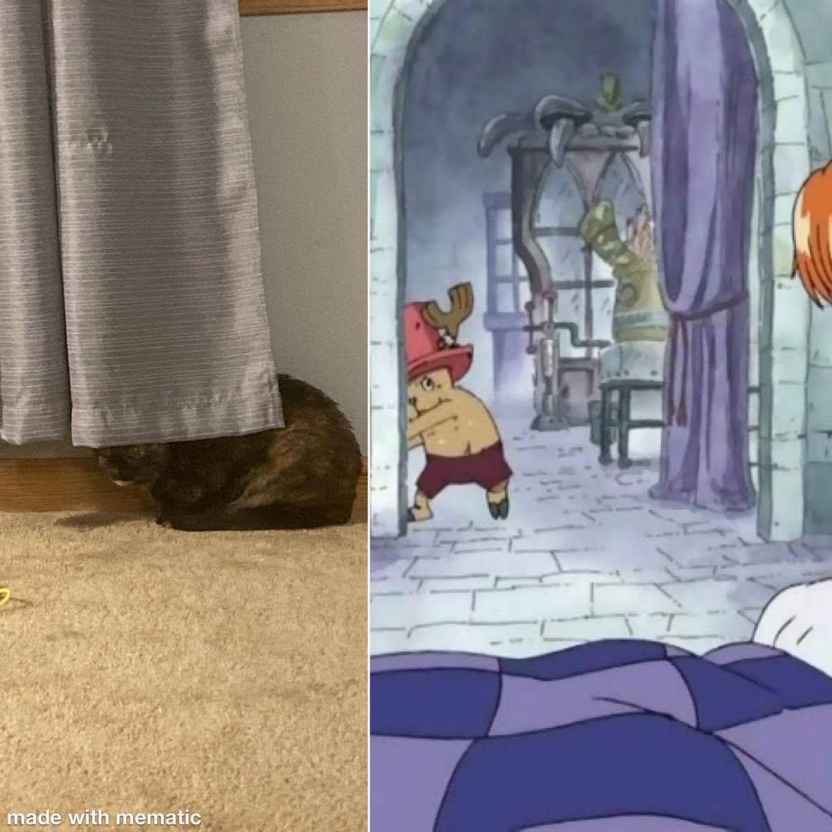 meme kucing tema One Piece