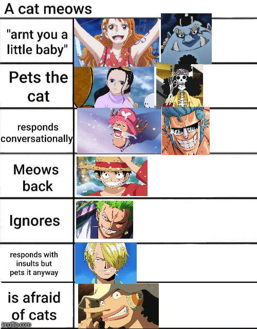 meme kucing tema One Piece