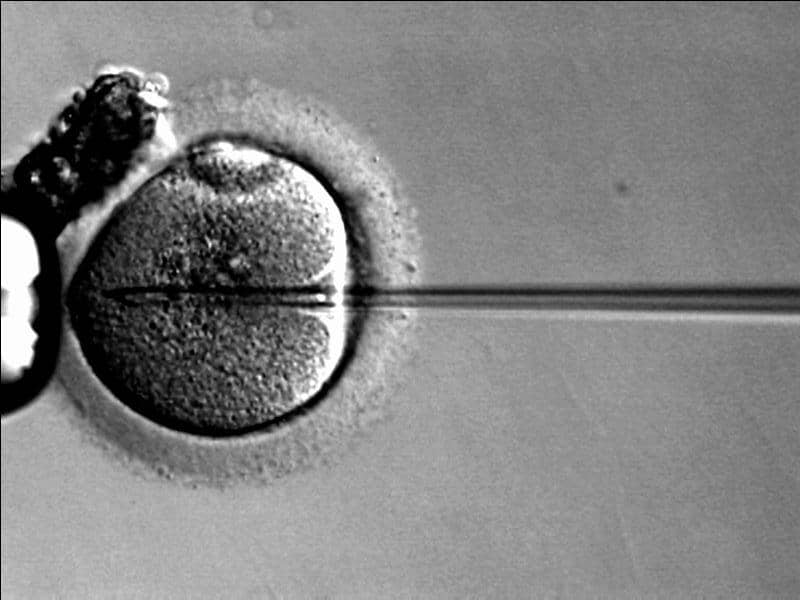 Mikropipet menyuntikkan satu sel sperma ke dalam oosit pada prosedur ICSI untuk membantu proses fertilisasi.